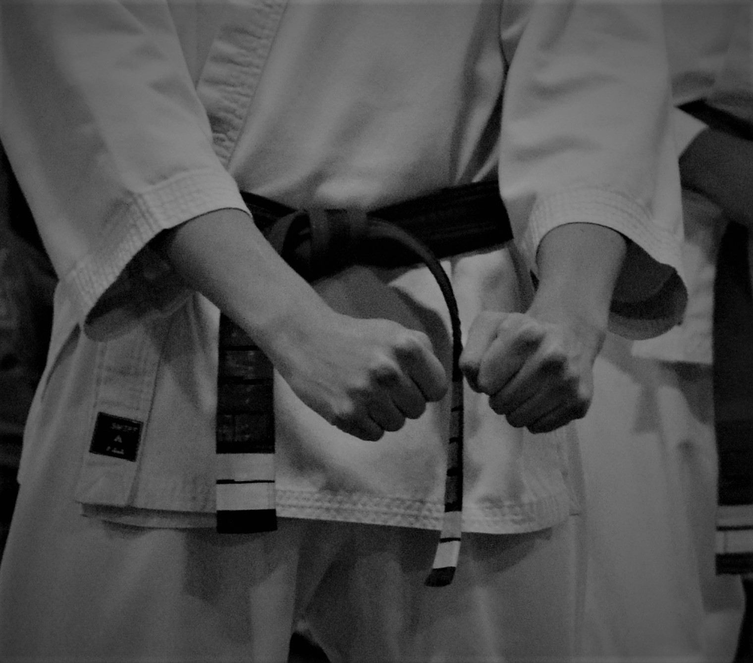 SALEM SCHOOL Omega Martial Arts